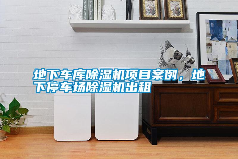 地下車庫(kù)除濕機(jī)項(xiàng)目案例,地下停車場(chǎng)除濕機(jī)出租