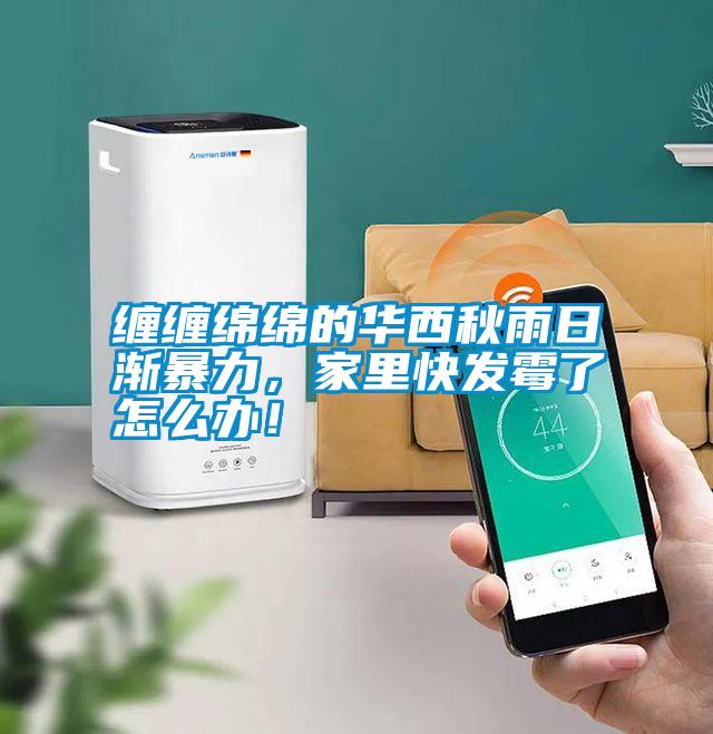 纏纏綿綿的華西秋雨日漸暴力,家里快發霉了怎么辦!