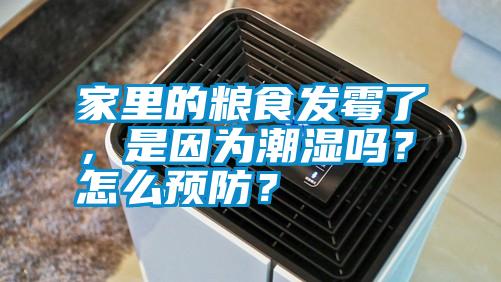 家里的糧食發霉了，是因為潮濕嗎？怎么預防？