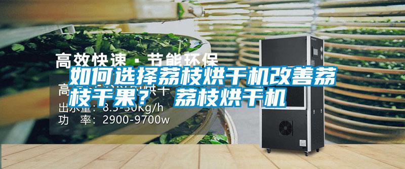 如何選擇荔枝烘干機改善荔枝干果? 荔枝烘干機