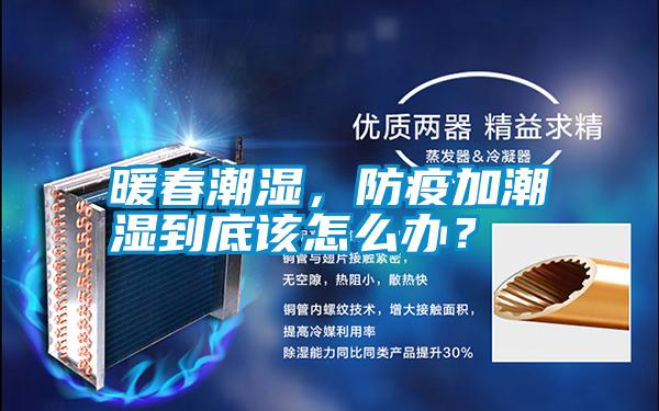 暖春潮濕,防疫加潮濕到底該怎么辦?