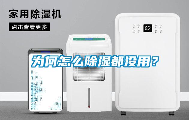 為何怎么除濕都沒用？
