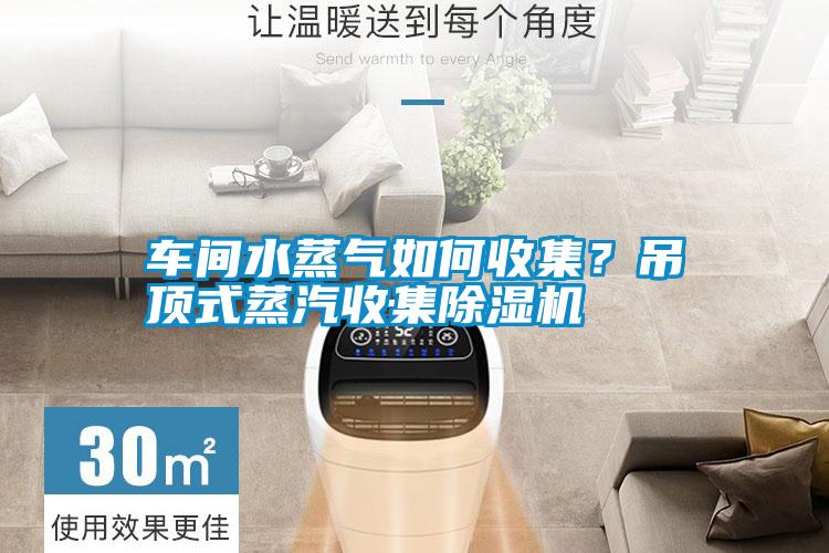 車間水蒸氣如何收集？吊頂式蒸汽收集除濕機(jī)