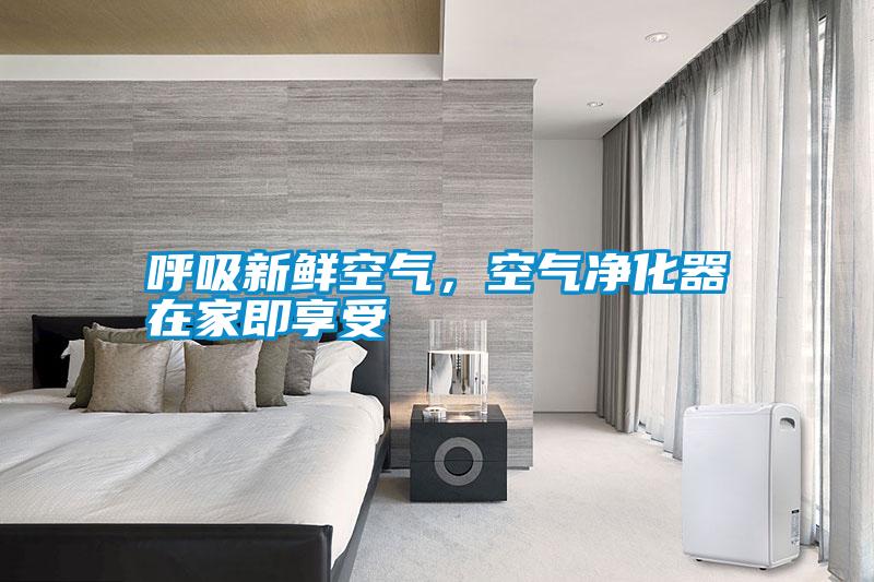 呼吸新鮮空氣，空氣凈化器在家即享受