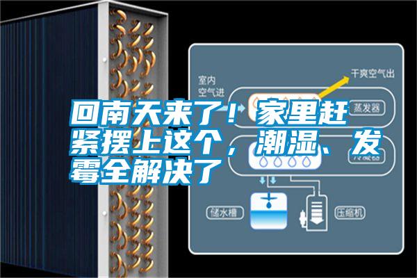 回南天來了！家里趕緊擺上這個，潮濕、發(fā)霉全解決了