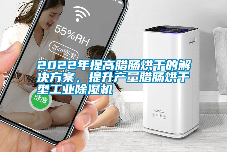 2022年提高臘腸烘干的解決方案,提升產量臘腸烘干型工業除濕機