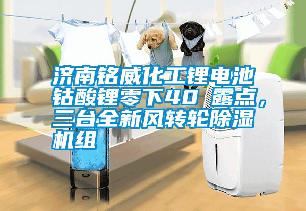 濟(jì)南銘威化工鋰電池鈷酸鋰零下40℃露點，三臺全新風(fēng)轉(zhuǎn)輪除濕機(jī)組