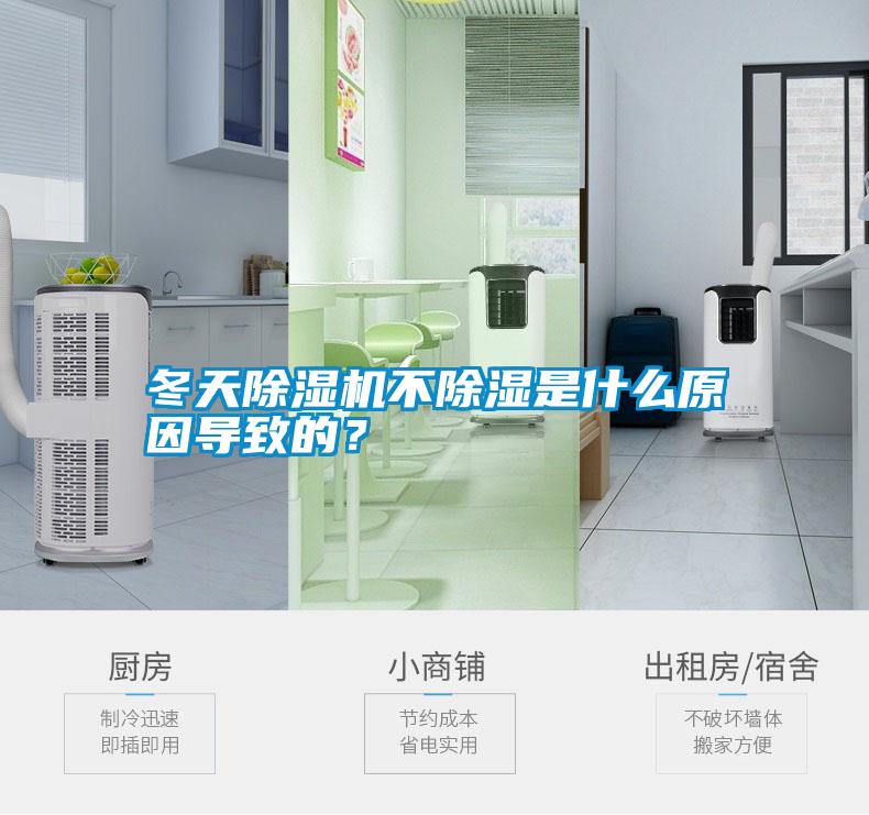 冬天除濕機(jī)不除濕是什么原因?qū)е碌模?/></p>
						    <p style=