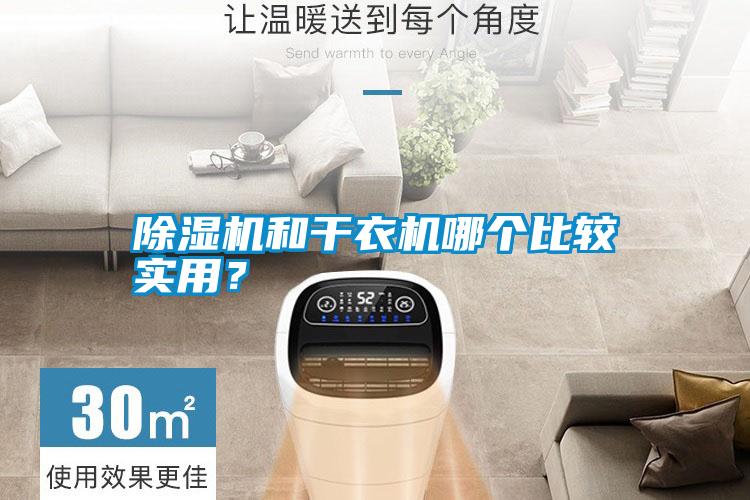 除濕機和干衣機哪個比較實用？