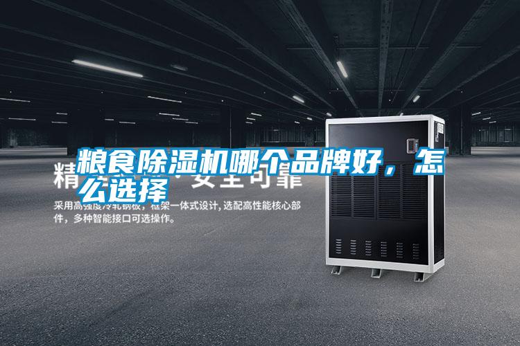 糧食除濕機哪個品牌好,怎么選擇