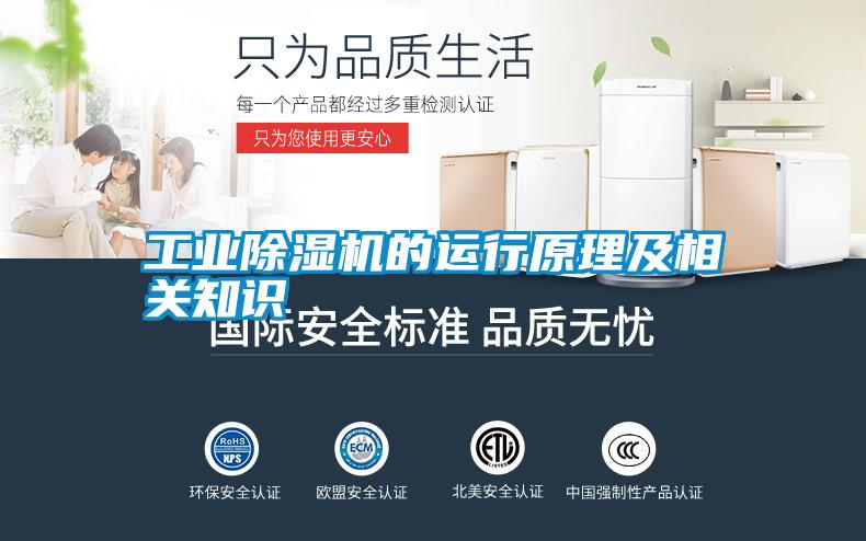 工業(yè)除濕機的運行原理及相關知識