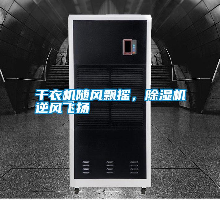 干衣機隨風(fēng)飄搖，除濕機逆風(fēng)飛揚