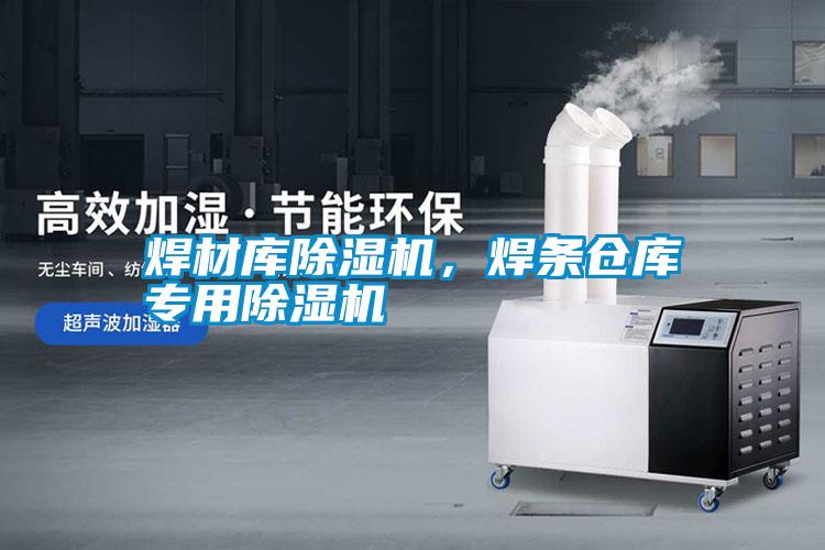 焊材庫(kù)除濕機(jī)，焊條倉(cāng)庫(kù)專用除濕機(jī)