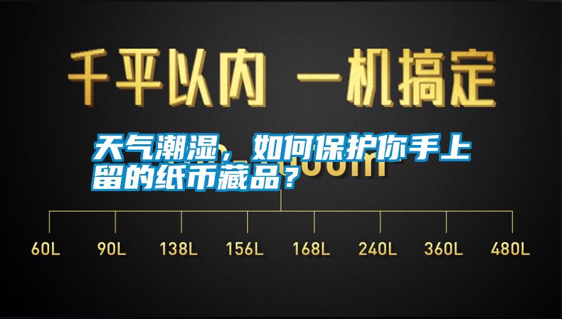 天氣潮濕，如何保護你手上留的紙幣藏品？