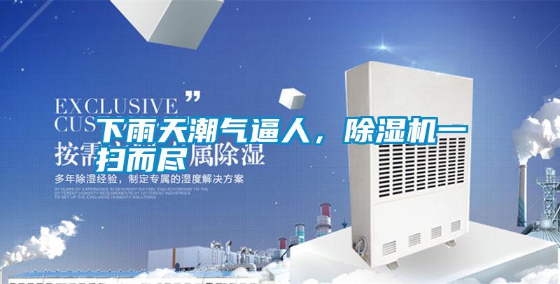 下雨天潮氣逼人,除濕機一掃而盡