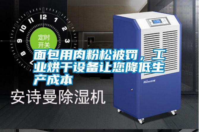 面包用肉粉松被罰，工業烘干設備讓您降低生產成本