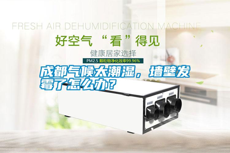 成都氣候太潮濕，墻壁發霉了怎么辦？