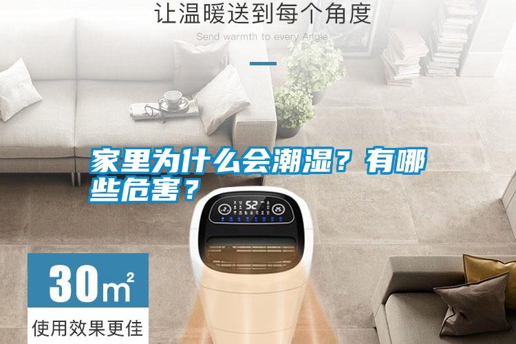 家里為什么會潮濕？有哪些危害？