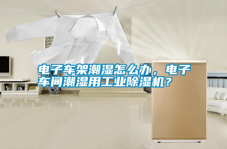 電子車架潮濕怎么辦，電子車間潮濕用工業除濕機？