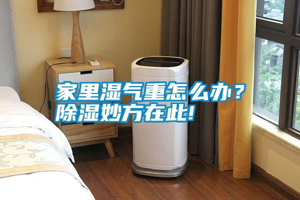 家里濕氣重怎么辦?除濕妙方在此!