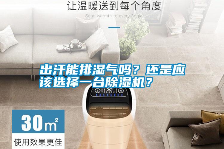 出汗能排濕氣嗎？還是應(yīng)該選擇一臺除濕機(jī)？