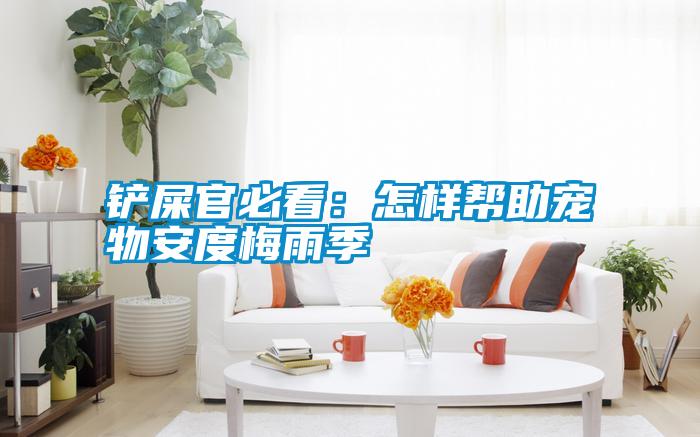 鏟屎官必看:怎樣幫助寵物安度梅雨季