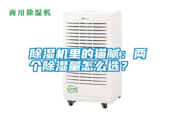 除濕機里的貓膩：兩個除濕量怎么選？