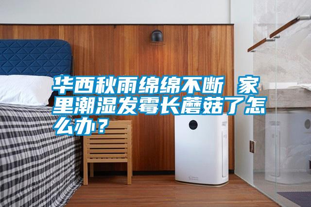 華西秋雨綿綿不斷 家里潮濕發(fā)霉長蘑菇了怎么辦?