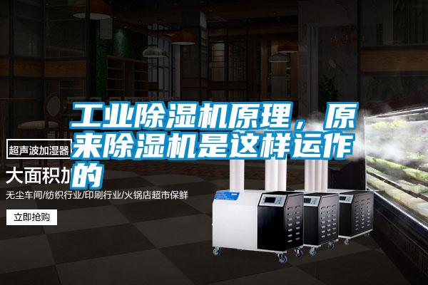 工業除濕機原理，原來除濕機是這樣運作的