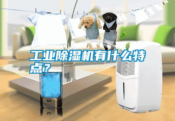 工業(yè)除濕機(jī)有什么特點？