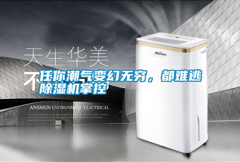 任你潮氣變幻無窮，都難逃除濕機掌控