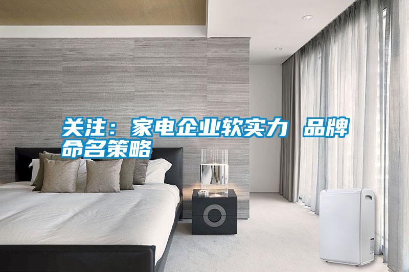 關注：家電企業軟實力 品牌命名策略