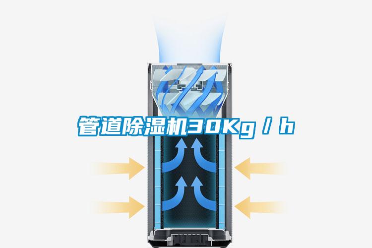 管道除濕機(jī)30Kg/h