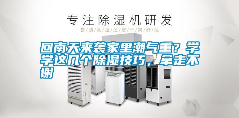 回南天來襲家里潮氣重？學學這幾個除濕技巧，拿走不謝