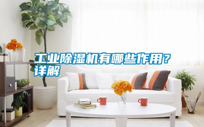 工業(yè)除濕機(jī)有哪些作用?詳解