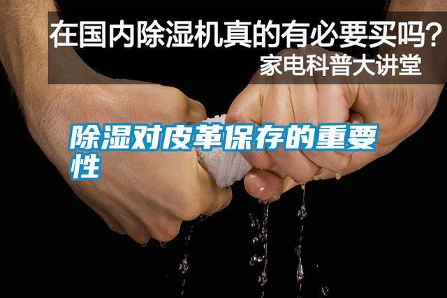 除濕對皮革保存的重要性