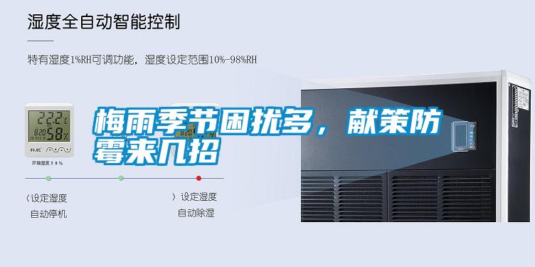 梅雨季節困擾多,獻策防霉來幾招