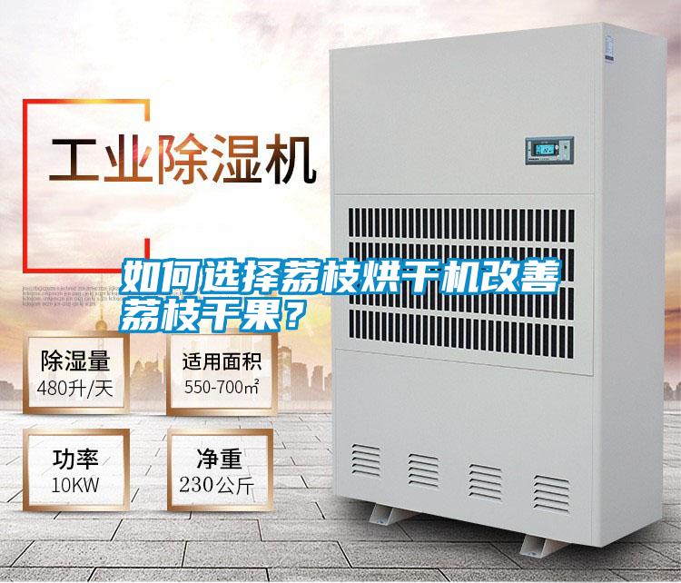 如何選擇荔枝烘干機改善荔枝干果？