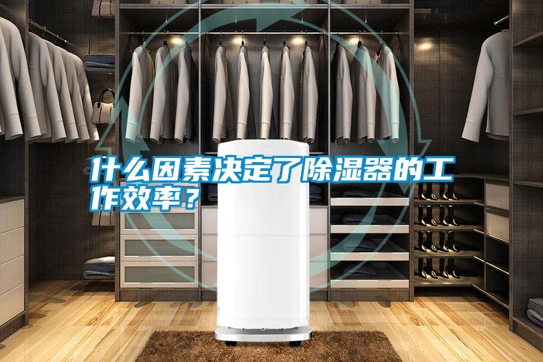 什么因素決定了除濕器的工作效率？