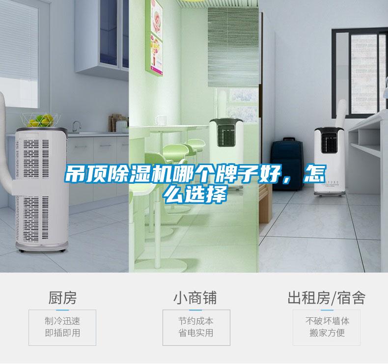 吊頂除濕機哪個牌子好，怎么選擇