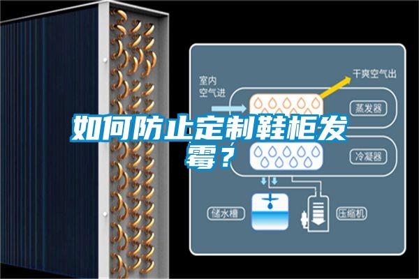 如何防止定制鞋柜發霉?