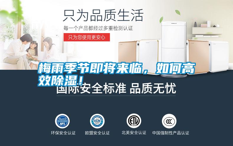 梅雨季節(jié)即將來臨,如何高效除濕!
