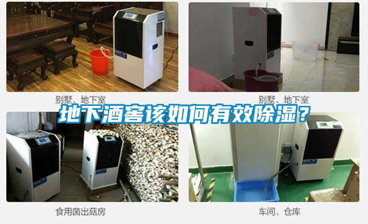 地下酒窖該如何有效除濕？