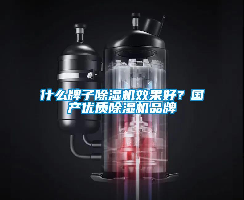 什么牌子除濕機效果好？國產優質除濕機品牌