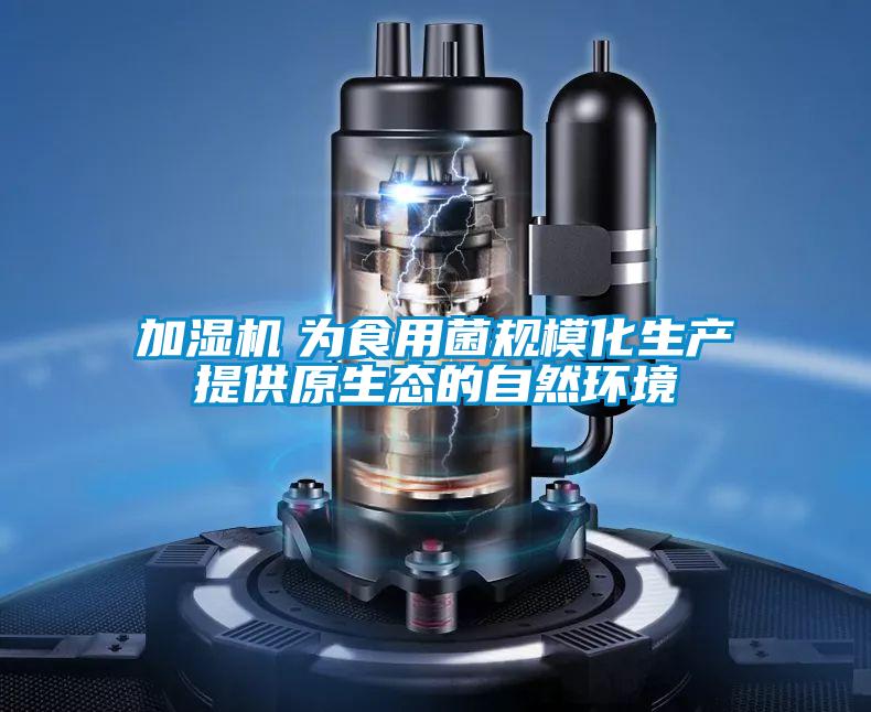 加濕機 為食用菌規模化生產提供原生態的自然環境