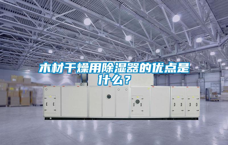 木材干燥用除濕器的優(yōu)點是什么？