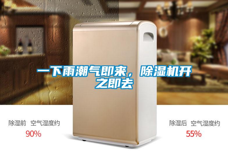 一下雨潮氣即來，除濕機開之即去