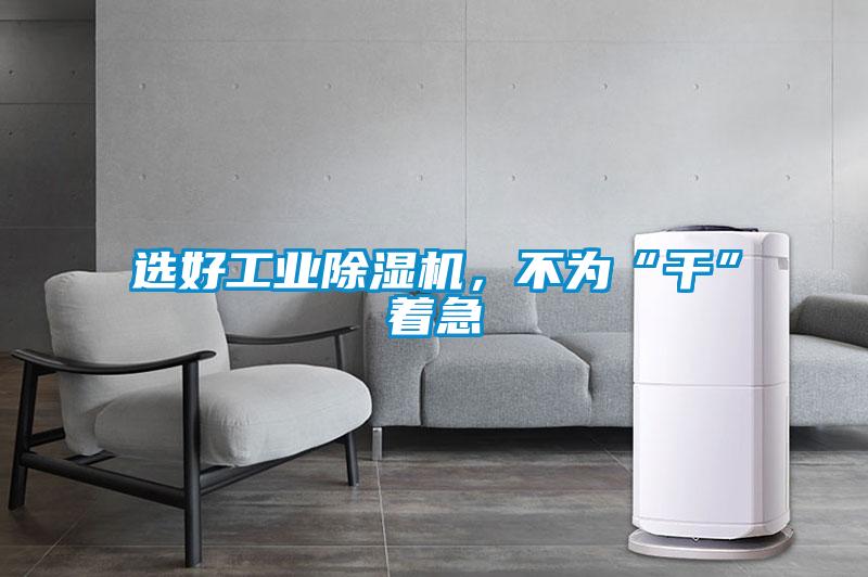 選好工業(yè)除濕機(jī)，不為“干”著急