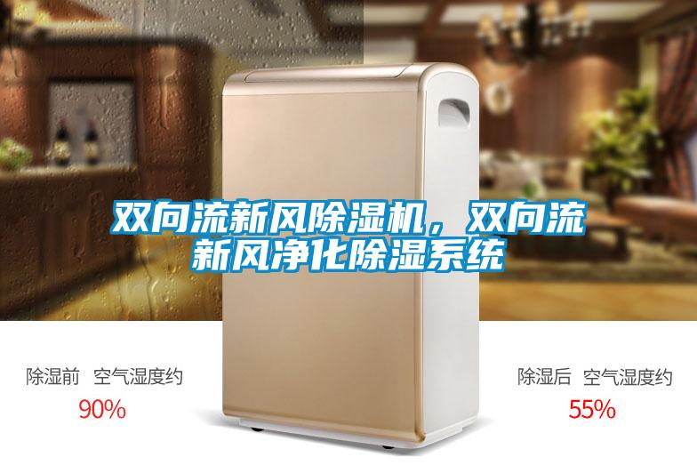 雙向流新風(fēng)除濕機(jī),雙向流新風(fēng)凈化除濕系統(tǒng)