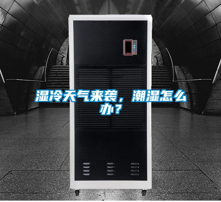 濕冷天氣來(lái)襲，潮濕怎么辦？